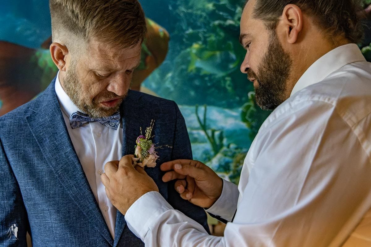 hochzeitsfotograf am cospudener see just tom