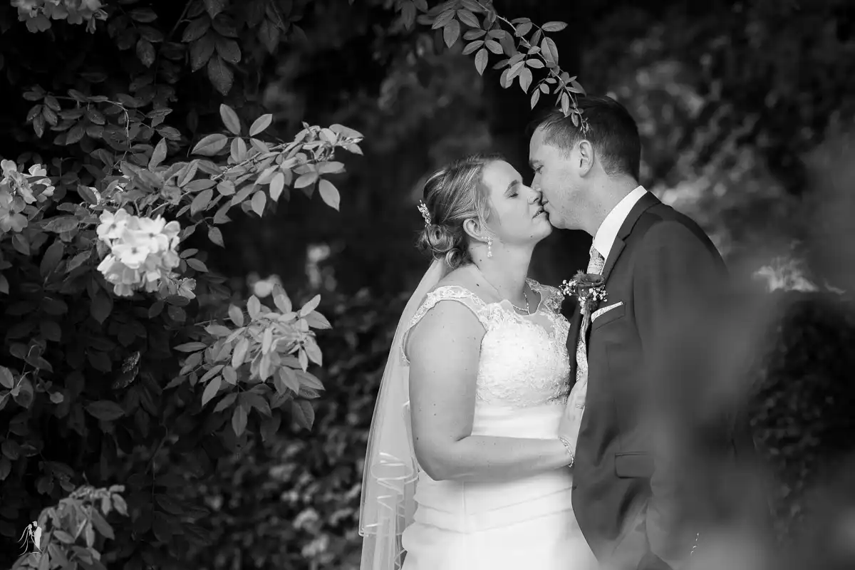 hochzeitsfotograf in aschersleben just tom