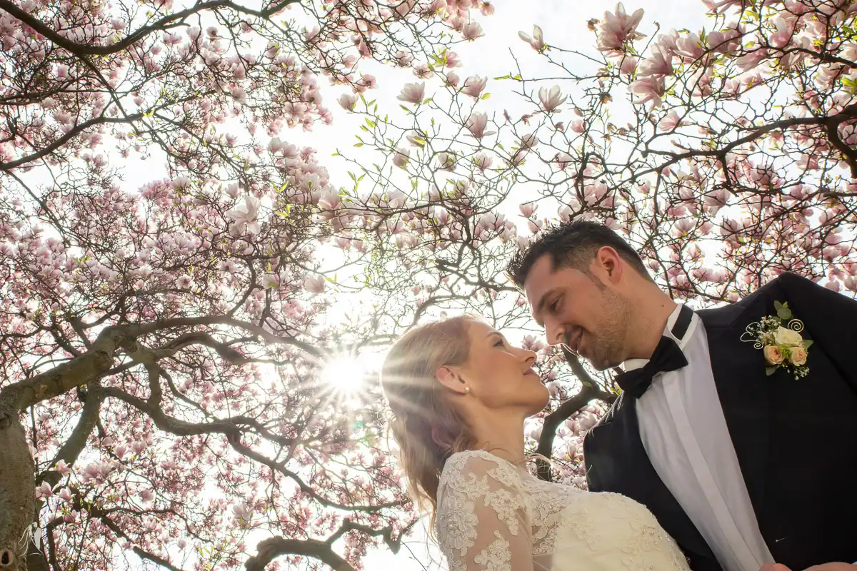 hochzeitsfotos grimma just tom