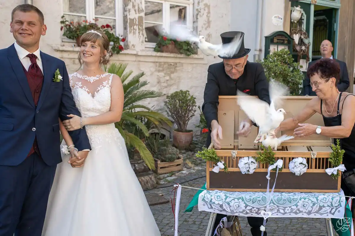 hochzeitsfotos in egeln